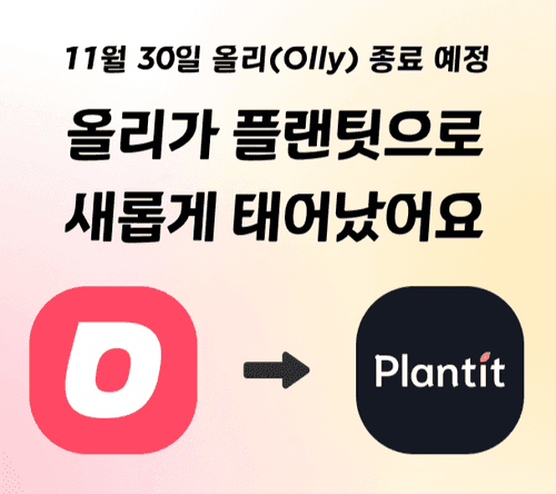 플랜팃(Plantit)으로 새롭게 시작합니다.